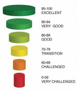 health score report